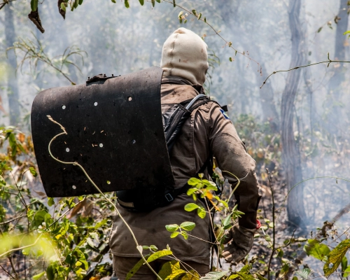 Corpo de Bombeiros combate seis incêndios florestais simultâneos em MT; Livramento na lista